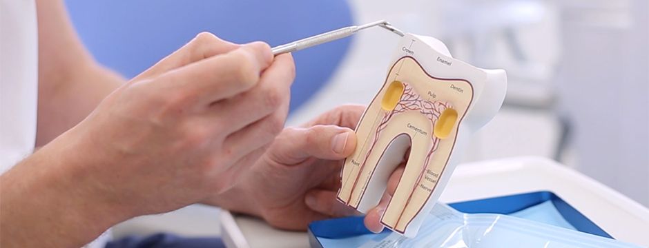 It is the fermentable carbohydrates which can cause tooth decay. For example, sweets, bananas, bread and yogurts all contain fermentable carbohydrates.